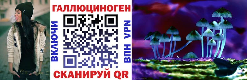Псилоцибиновые грибы прущие грибы Черкесск