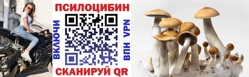 как найти закладки hydra онион Галлюциногенные грибы прущие грибы Черкесск